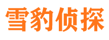 天元市侦探调查公司